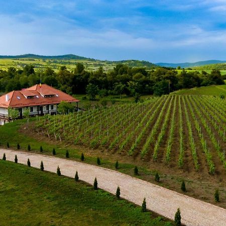 Pensiunea Sonnenhof Sighişoara Esterno foto