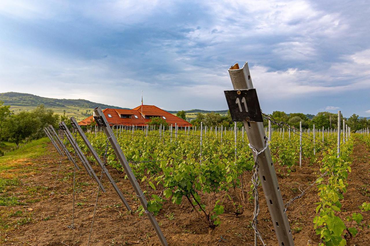 Pensiunea Sonnenhof Sighişoara Esterno foto
